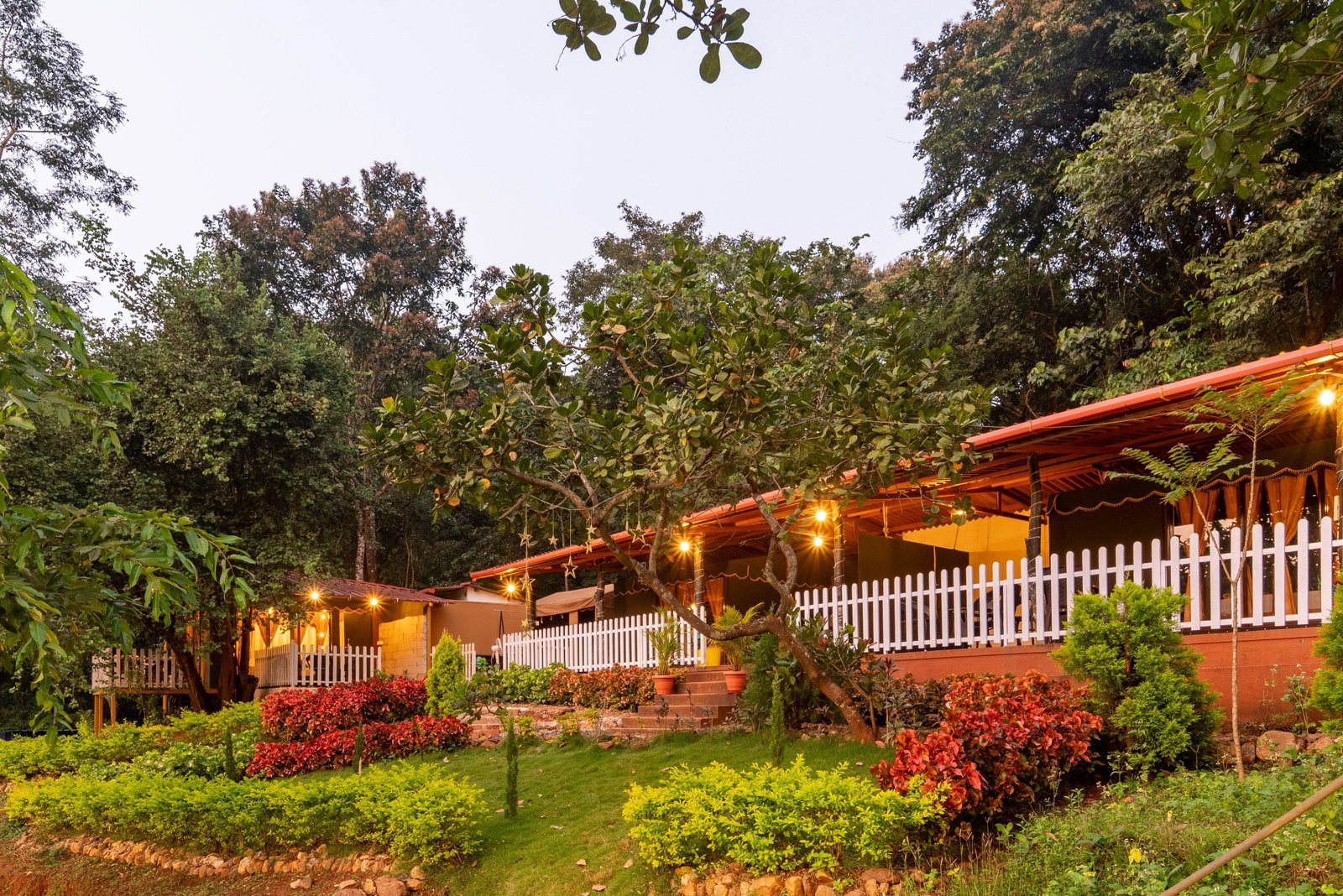 Jungle Resort Campsite